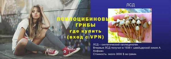 кокс Ростов