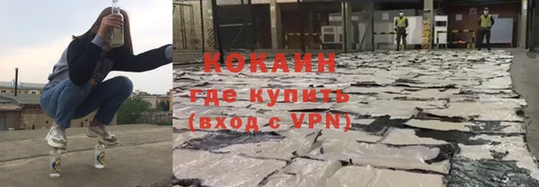 сатива Россошь