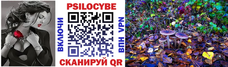 где найти наркотики  блэк спрут зеркало  Галлюциногенные грибы мицелий  Сосногорск 